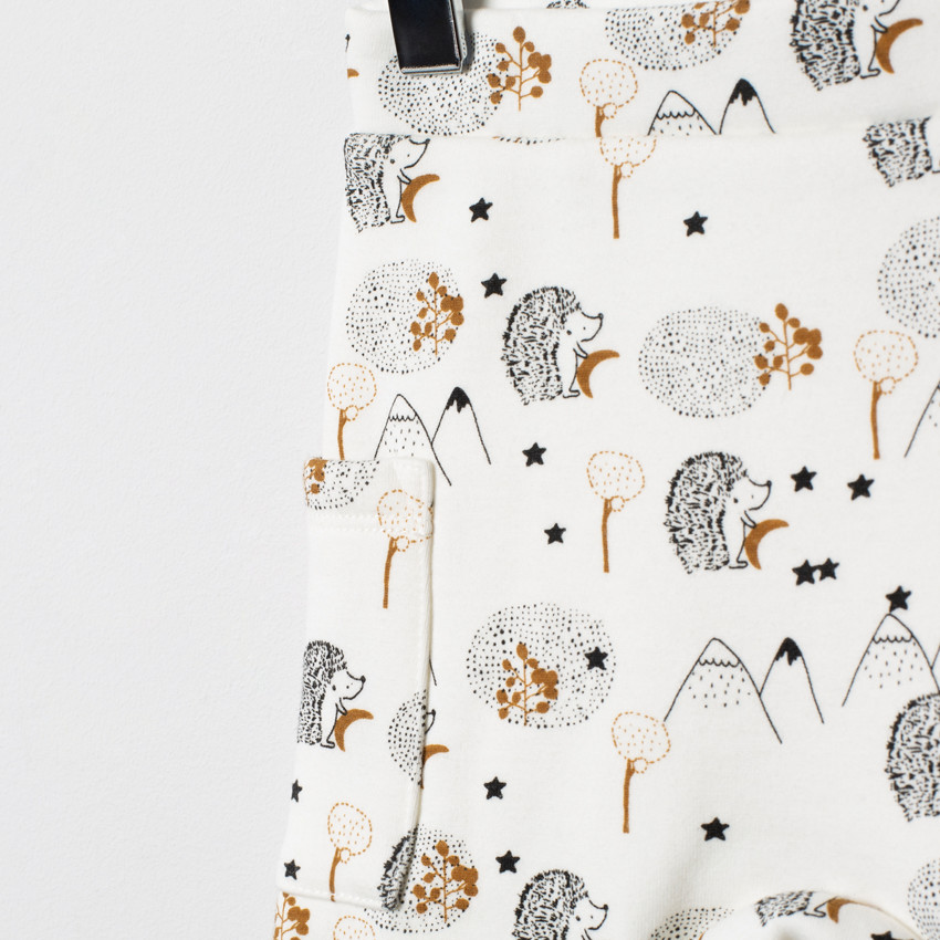 Conjunto con bolsillos canguro y erizo estampados 