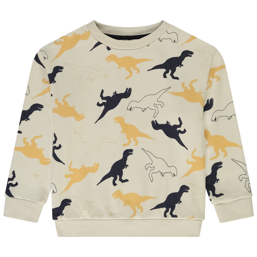 Sudadera con estampado de dinosaurios para niño 