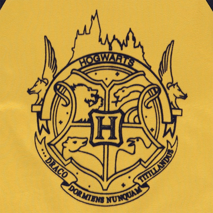 Camiseta de manga larga raglán en jersey con print de Harry Potter de Warner 