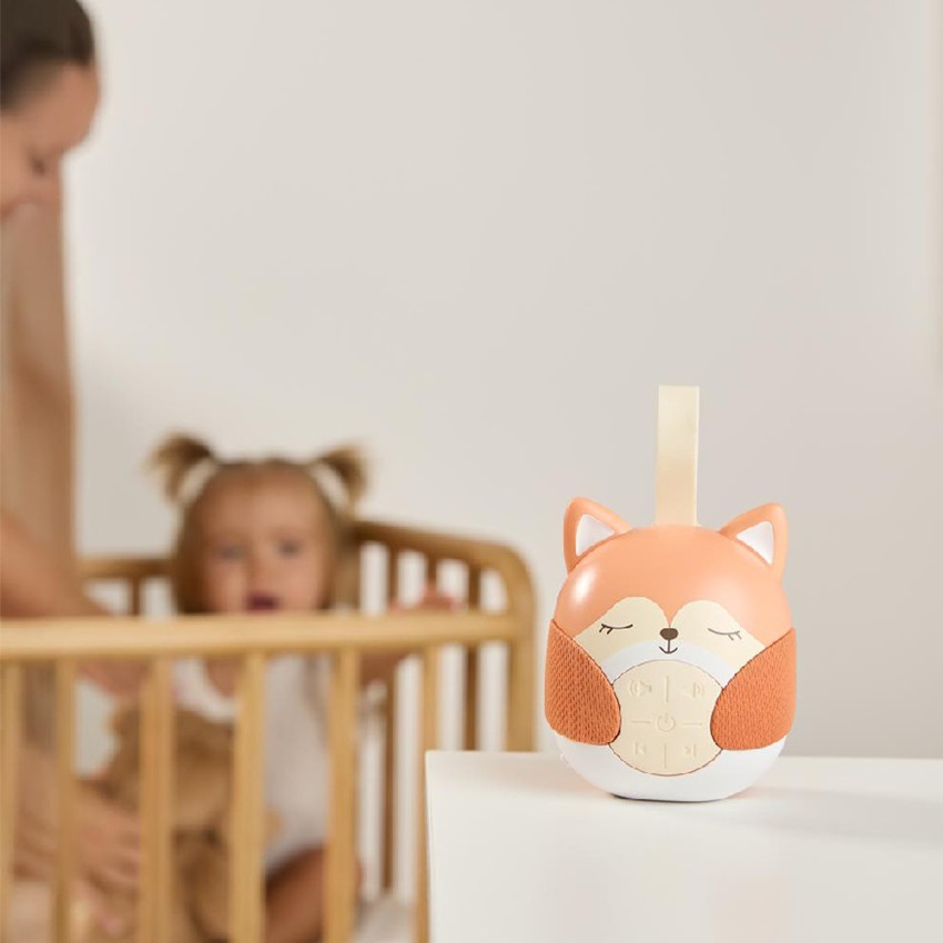 REPAS GENERIQUE ES-FOXY DREAMER 