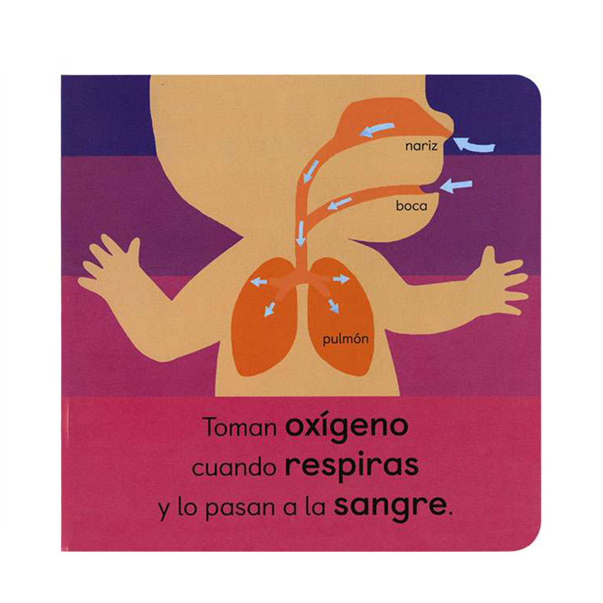 Libro Anatomía para bebés +3años 