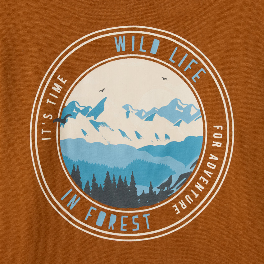 Lote de 3 sudaderas de felpa fantasía para niño 