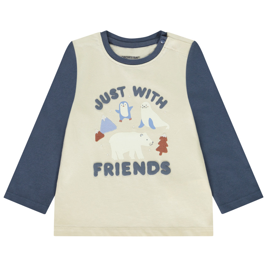 Camiseta de manga larga efecto color block print Ártico para bebé niño 
