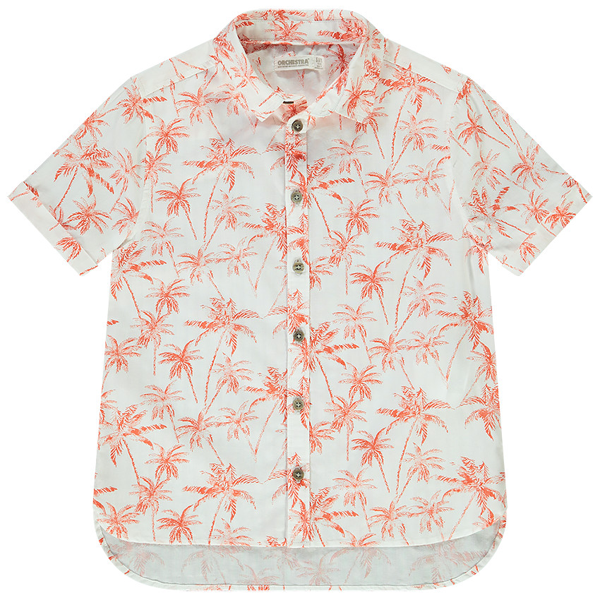 Camisa de manga corta de algodón con estampado de palmeras para niño 