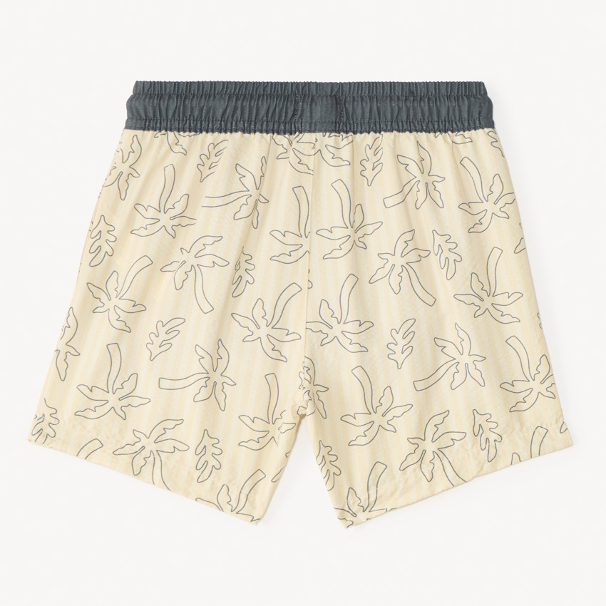Bañador a rayas con estampado de palmera para niño 