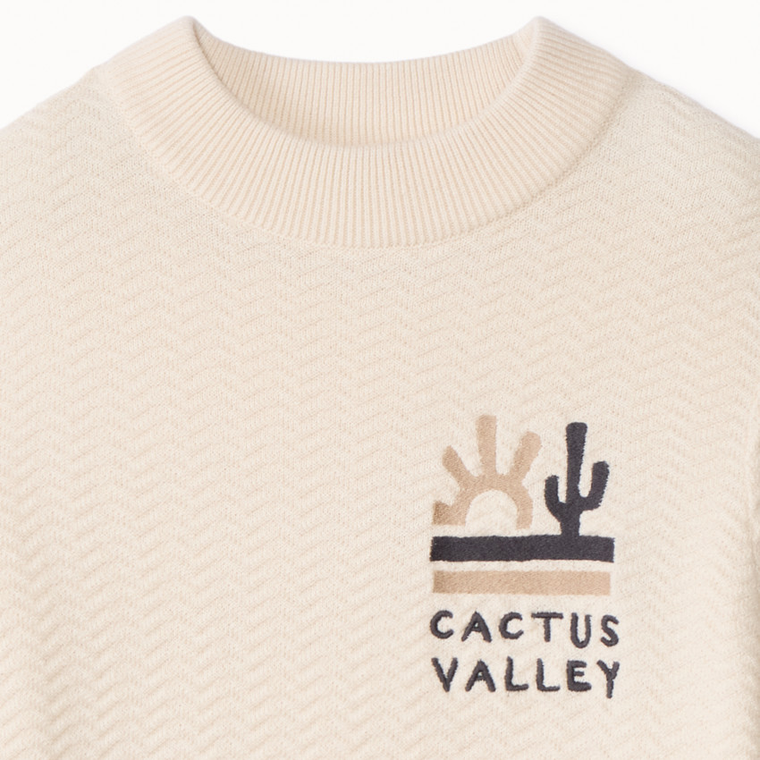 Jersey de punto fantasía efecto color block bordado para niño 