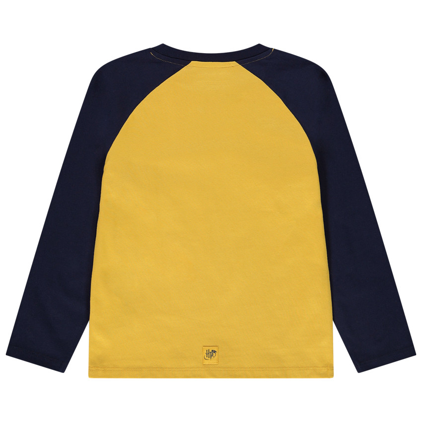 Camiseta de manga larga raglán en jersey con print de Harry Potter de Warner 