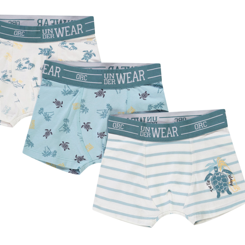 Lot de 5 boxers motifs Turtle Island garçon 