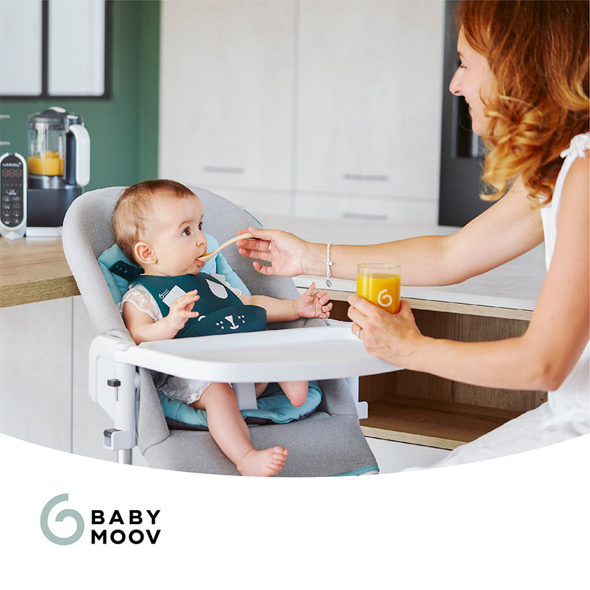 Lote de 6 botes de conservación Isy Bowls 250 ml 