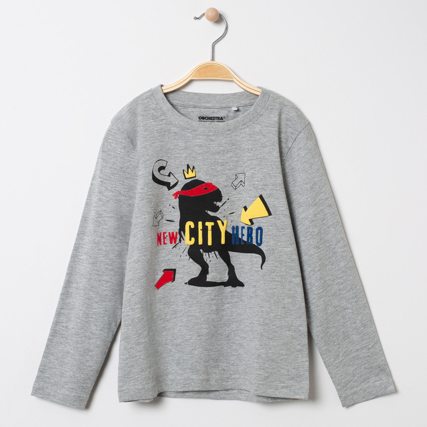 Camiseta de manga larga estampada Dinosaurio  