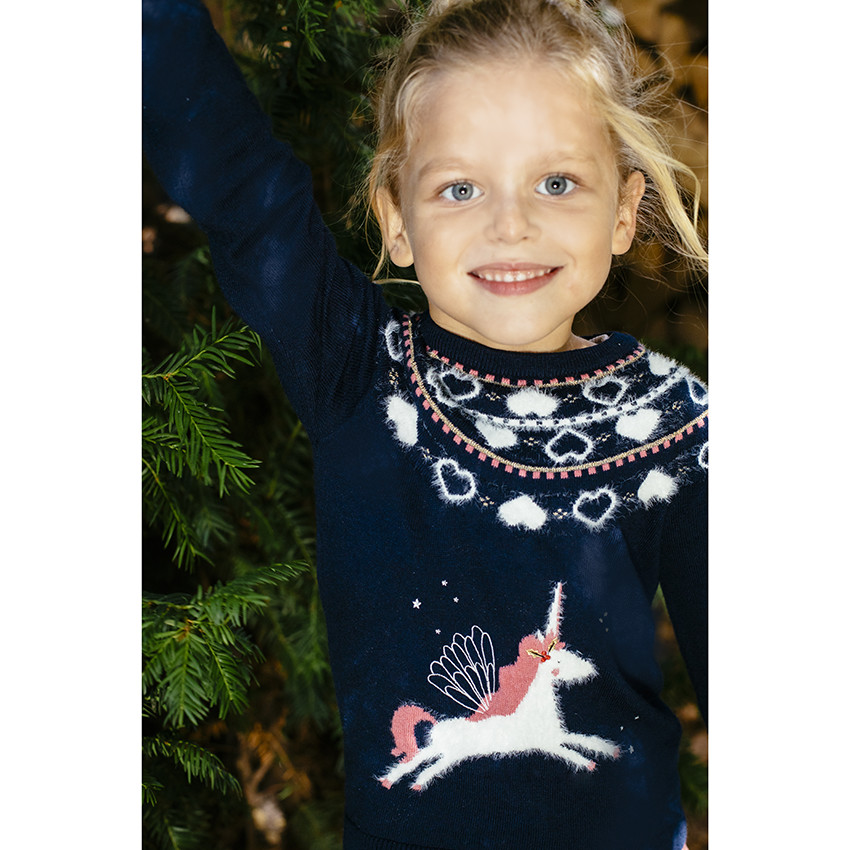 Pull de shop noel licorne