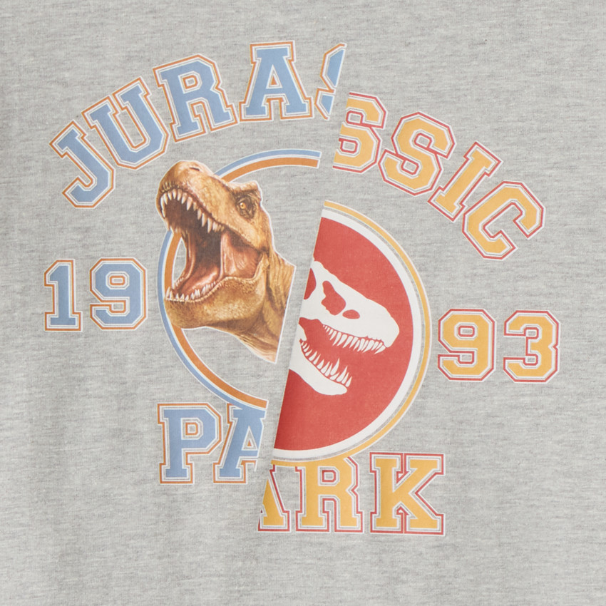 Camiseta de manga larga con estampado de dinosaurio niño 
