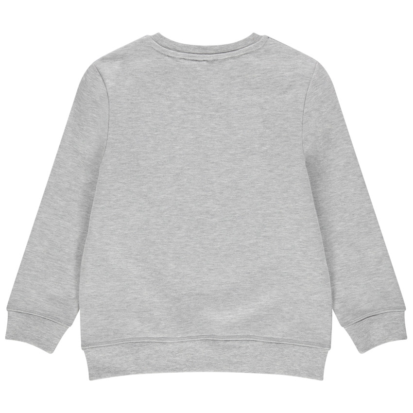 Sudadera de felpa con inscripción de estilo campus 