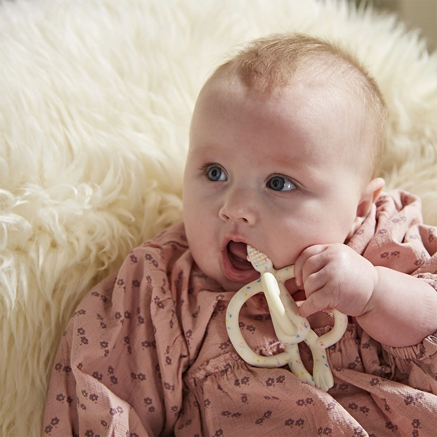 Mordedor Mono Confetti 