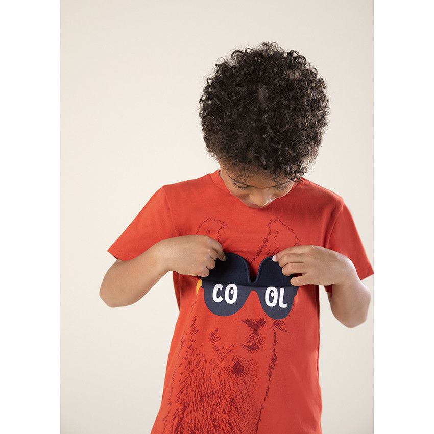 Camiseta manga corta print llama con gafas 