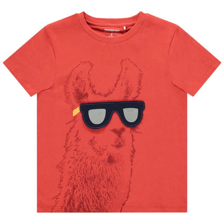 Camiseta manga corta print llama con gafas 