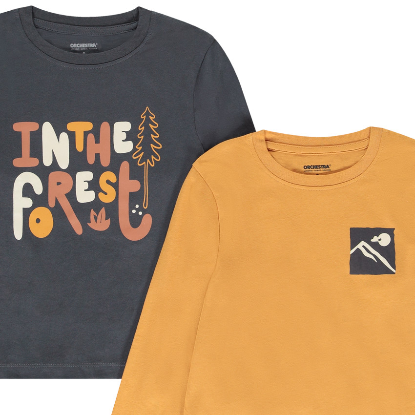 Pack de 4 camisetas de manga larga con motivos para niño 