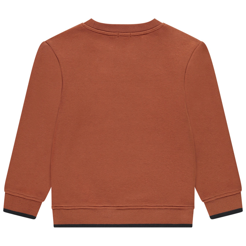 Sudadera de felpa con velours y bordado para niño 