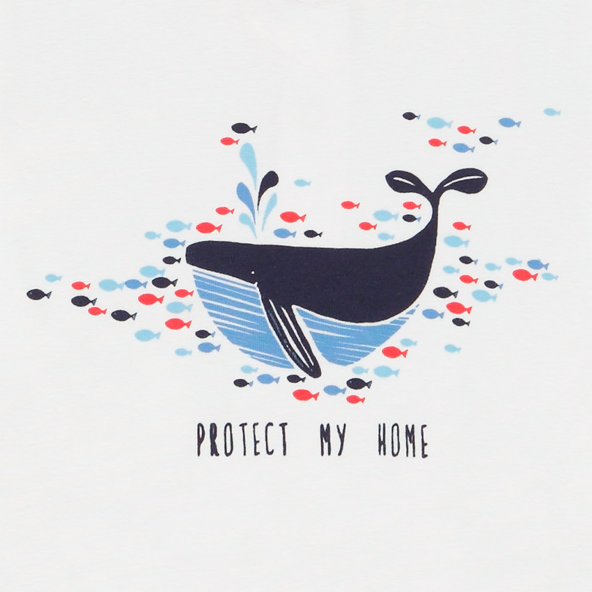 Conjunto camiseta y short 