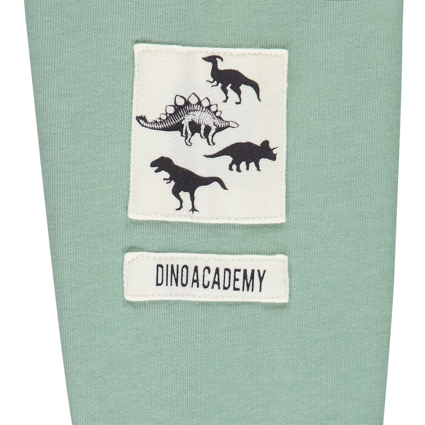 Conjunto de chándal de felpa con motivos de dinosaurios para niño 