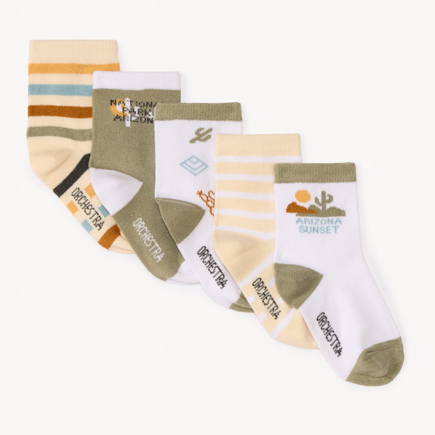 Pack de 5 pares de calcetines con motivos de cactus para bebé niño. 