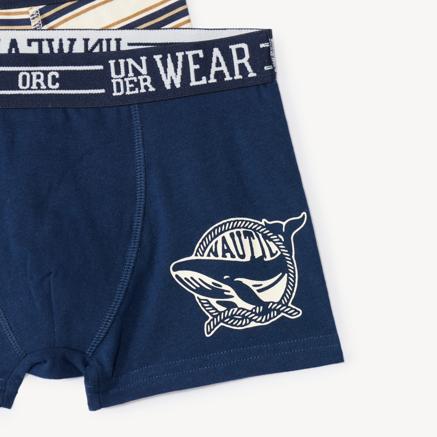 Lote de 5 bóxers fantasía para niño 