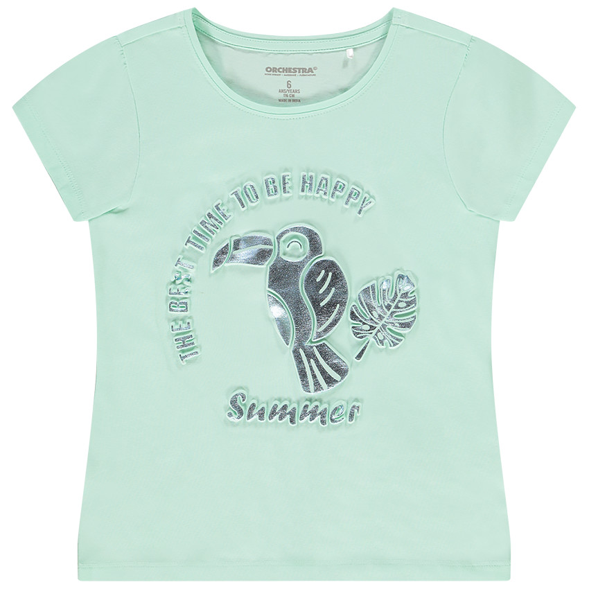 Camiseta manga corta 