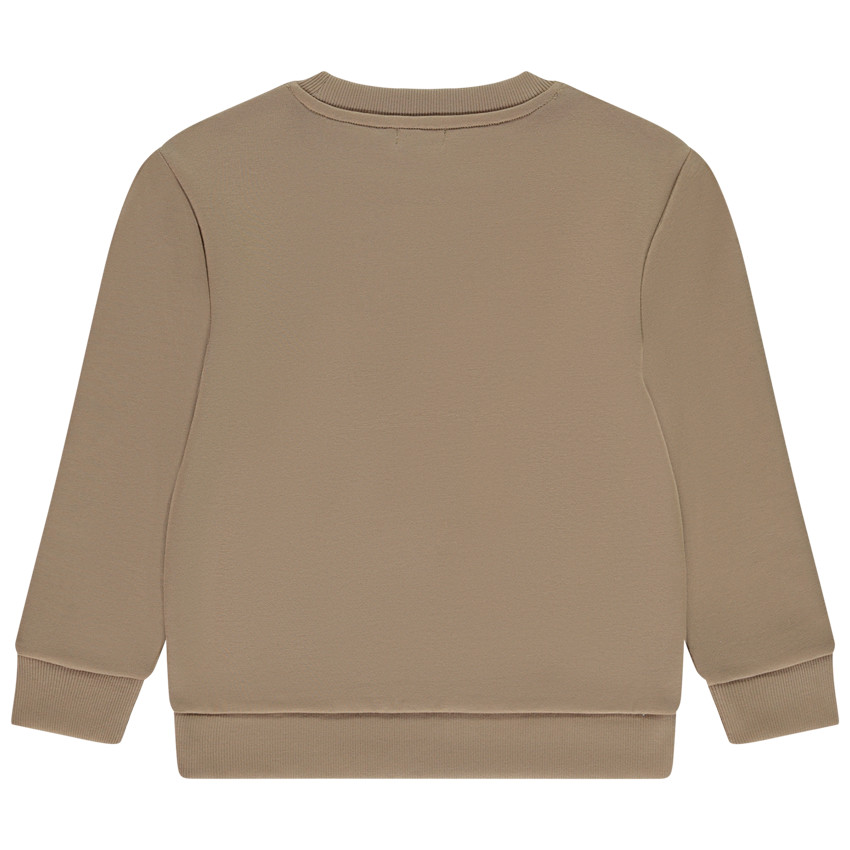 Sudadera de felpa con estampado fantasía niño 