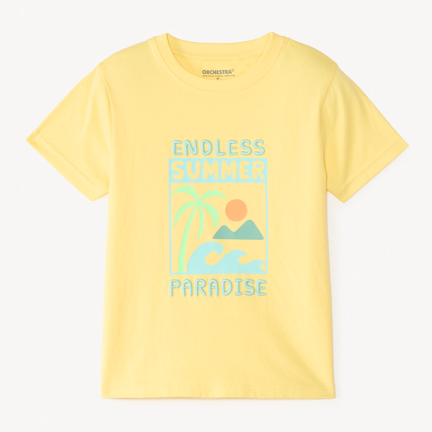 Camiseta de manga corta lisa con estampado y bordado de fantasía veraniega para niño. 