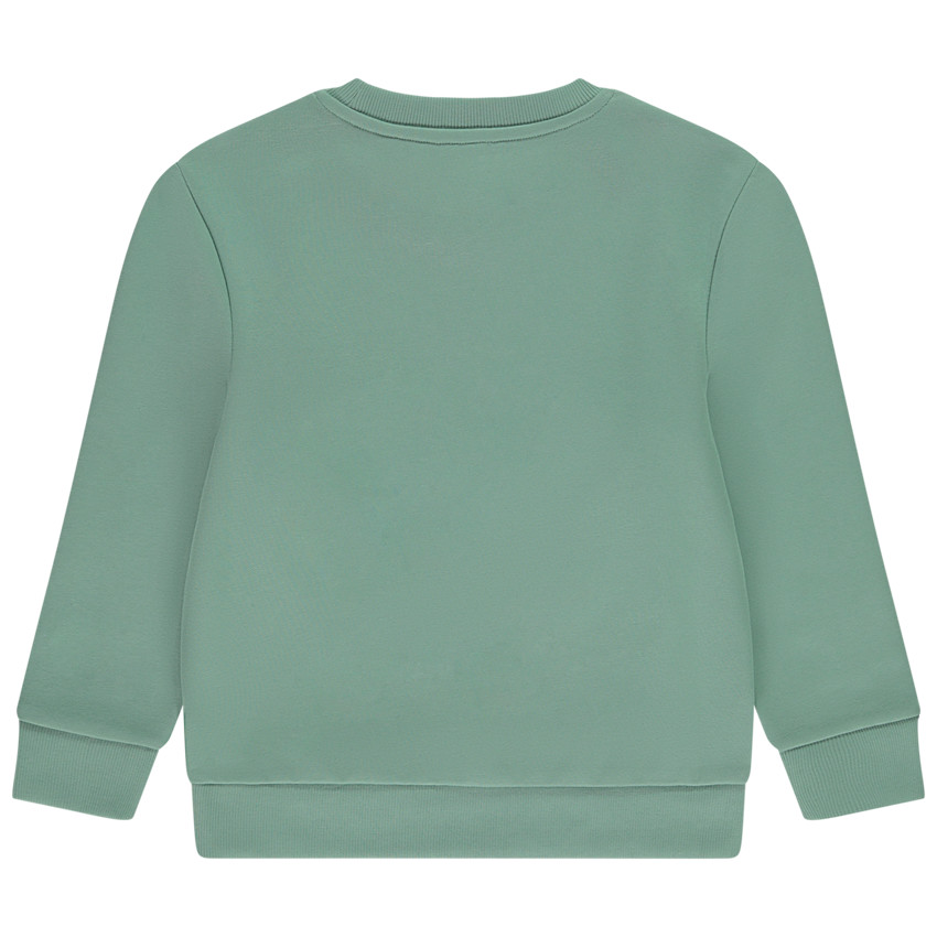 Sudadera de felpa con estampado fantasía para niño 
