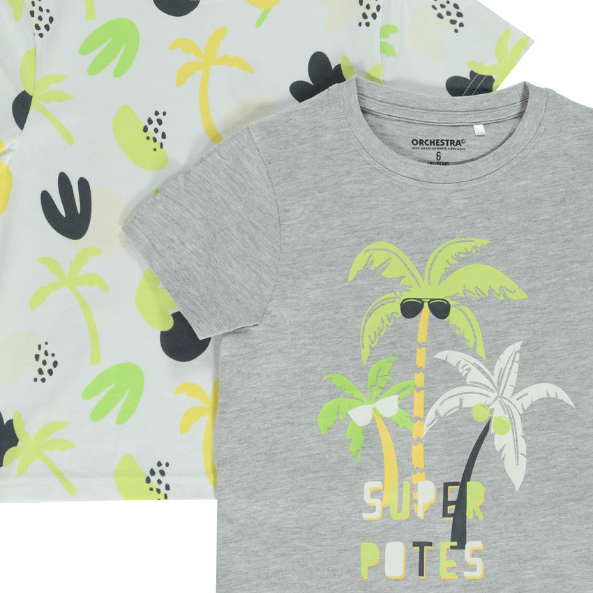 Lote de 2 camisetas de manga corta con motivos de palmeras para niño 