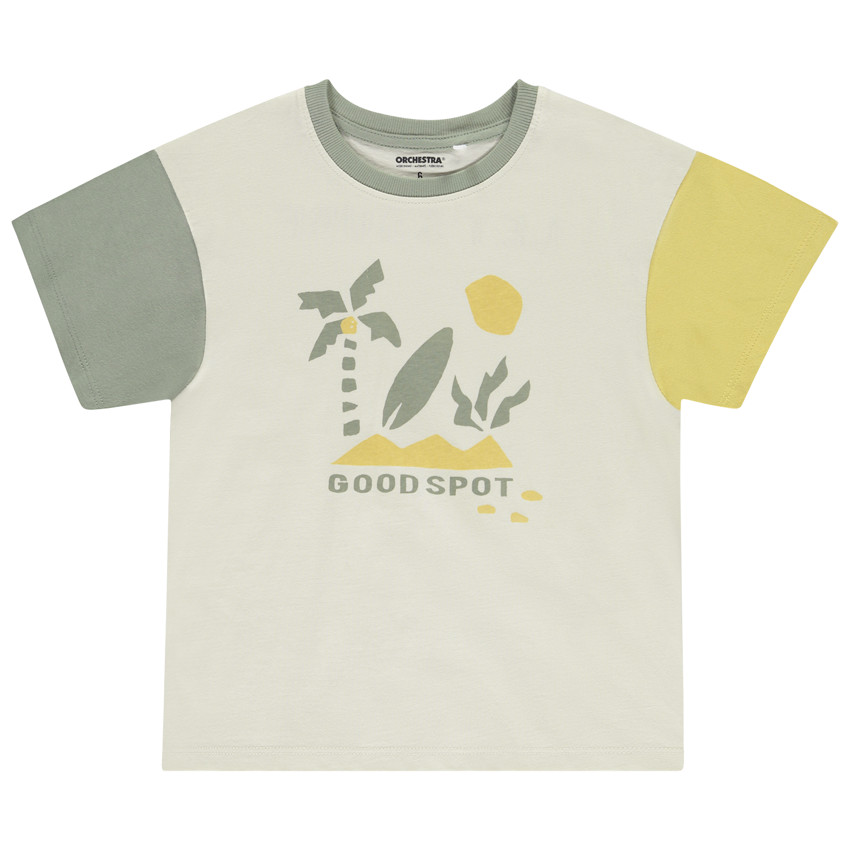 Camiseta de manga corta efecto color block estampada niño 