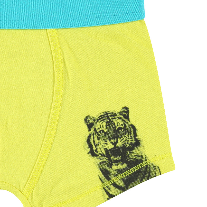 Lote de 2 boxers con rayas/liso 