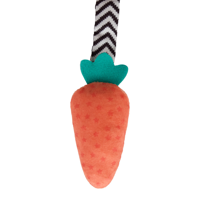 Espiral de actividades Sacha la tortuga 