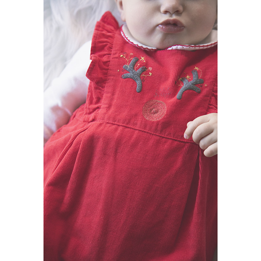 Mono de terciopelo rojo 