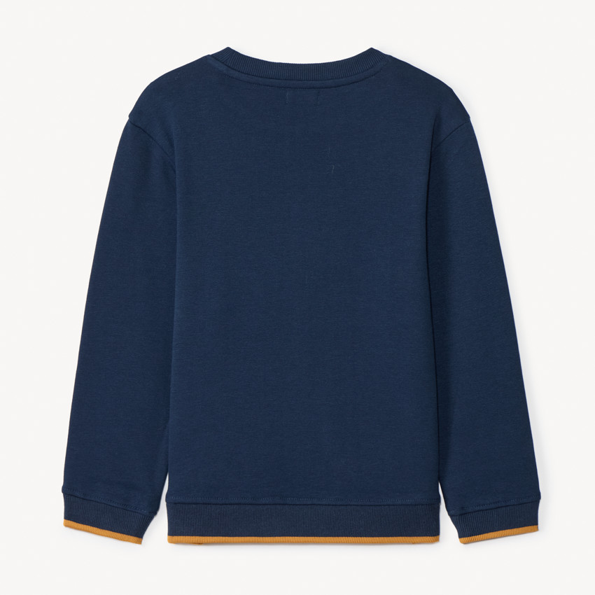 Sudadera de molleton con bordado efecto rizo para niño 