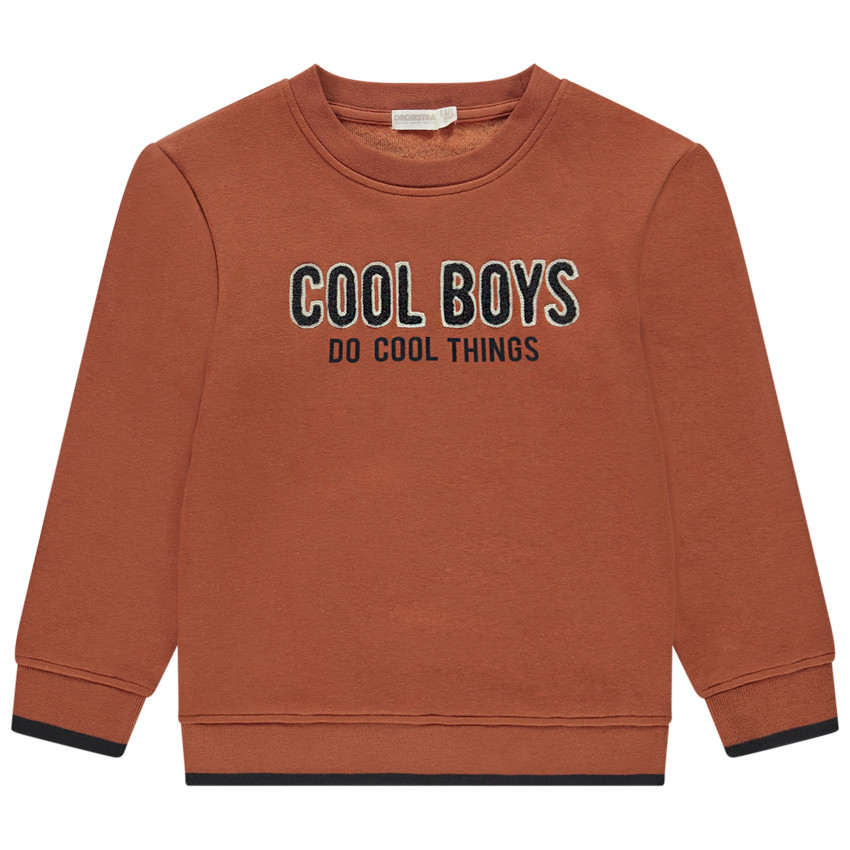 Sudadera de felpa con velours y bordado para niño 