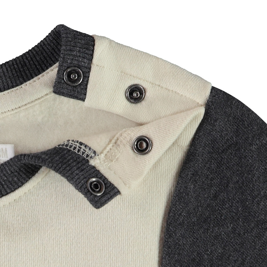 Conjunto de chándal con estampado de león para bebé niño 