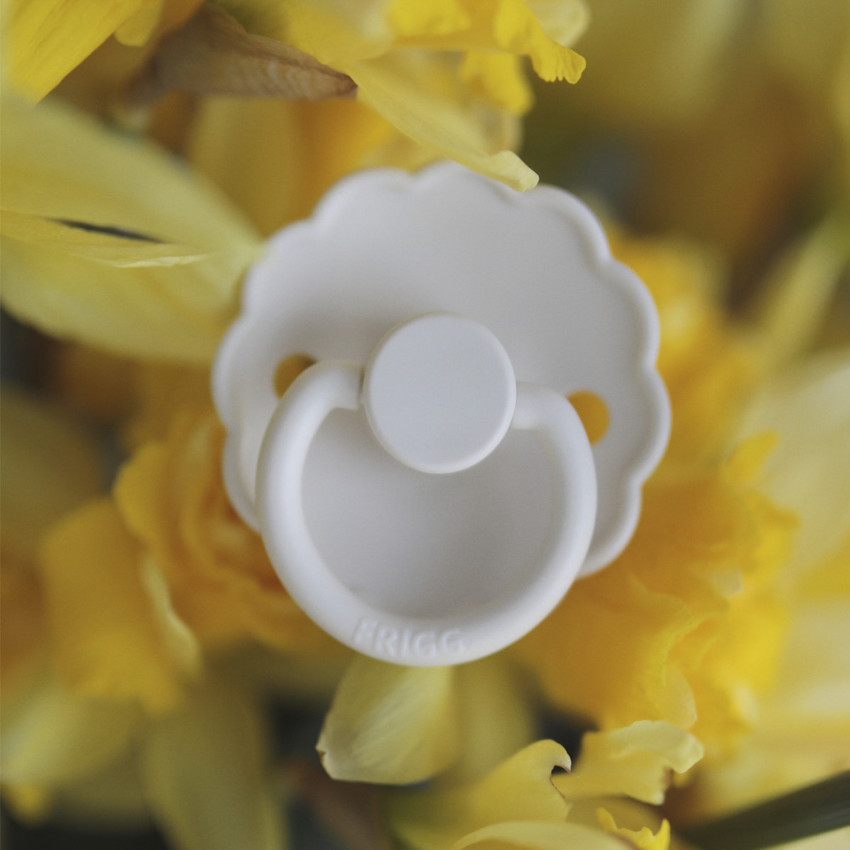 PACK 2 CHUPETES BLOCK SILICONA DAISY HONEY GOLD/GLACIER B 6+ 