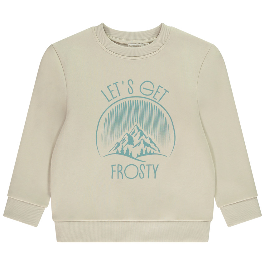 Sudadera de felpa con estampado fantasía para niño 