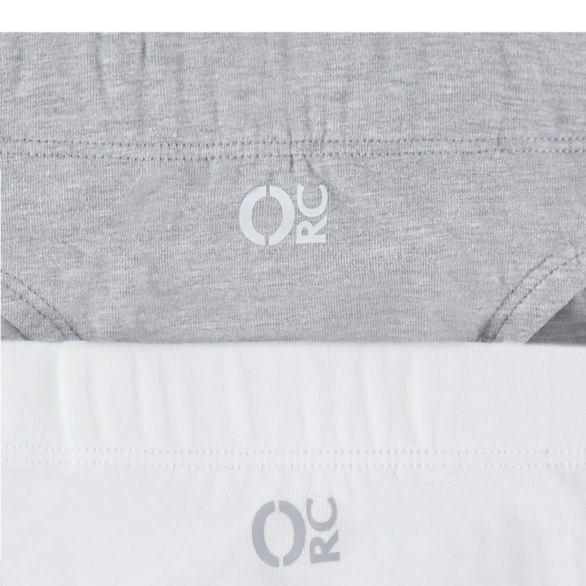 Lote de 2 slips de algodones lisos 