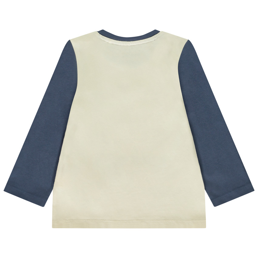 Camiseta de manga larga efecto color block print Ártico para bebé niño 