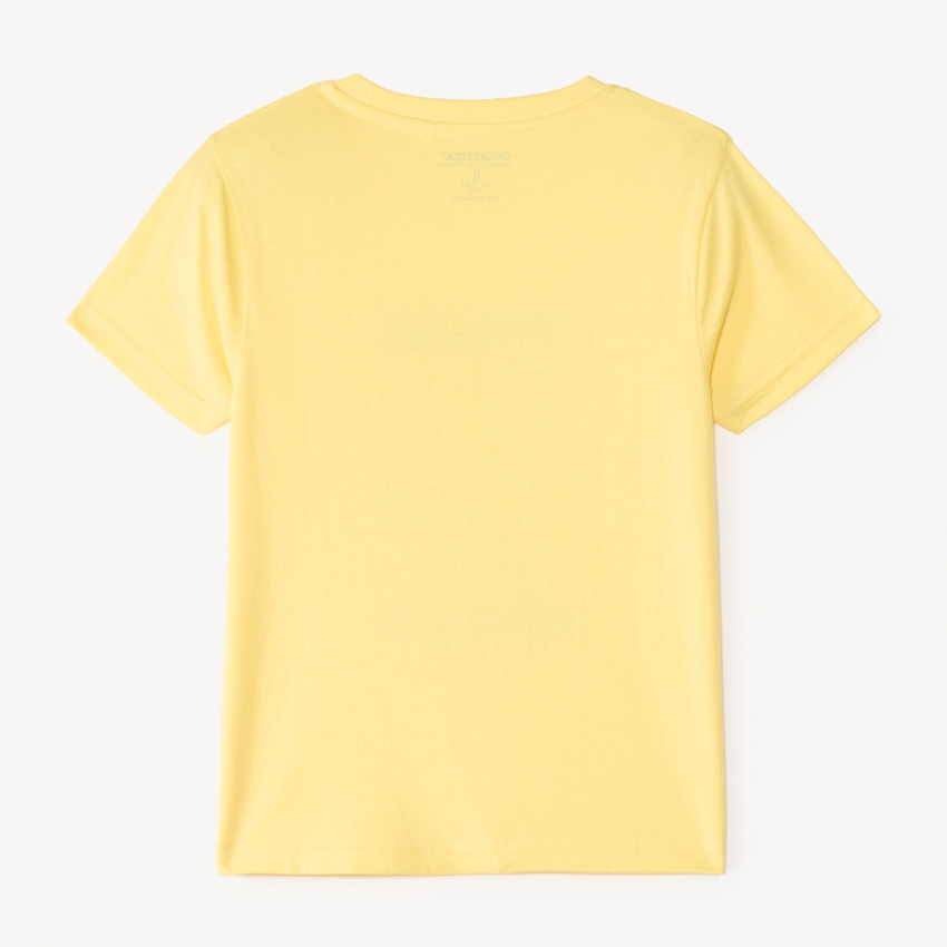 Camiseta de manga corta lisa con estampado y bordado de fantasía veraniega para niño. 
