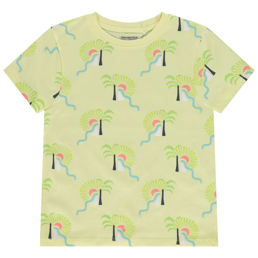 Camiseta manga corta estampado fantasía arty para niño 