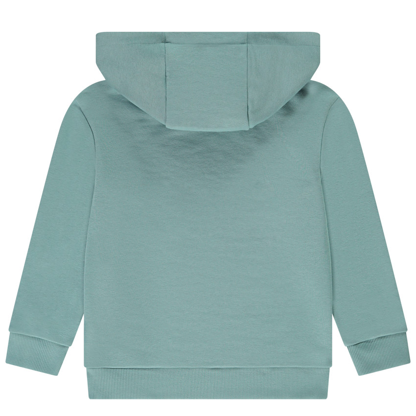 Sudadera con capucha cruzada y estampado para niño 