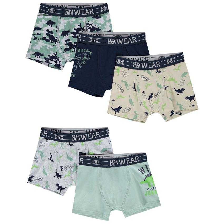 Pack de 5 bóxers con motivos Wild Dinos niño 