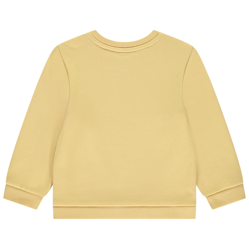 Sudadera de felpa con estampado de dinosaurios para bebé niño 