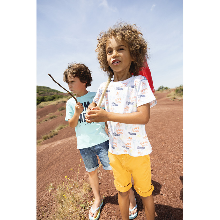 Lote de 2 camisetas de manga corta para niño 