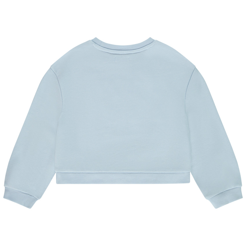 Sudadera crop top oversize con estampado de mariposa para niña 