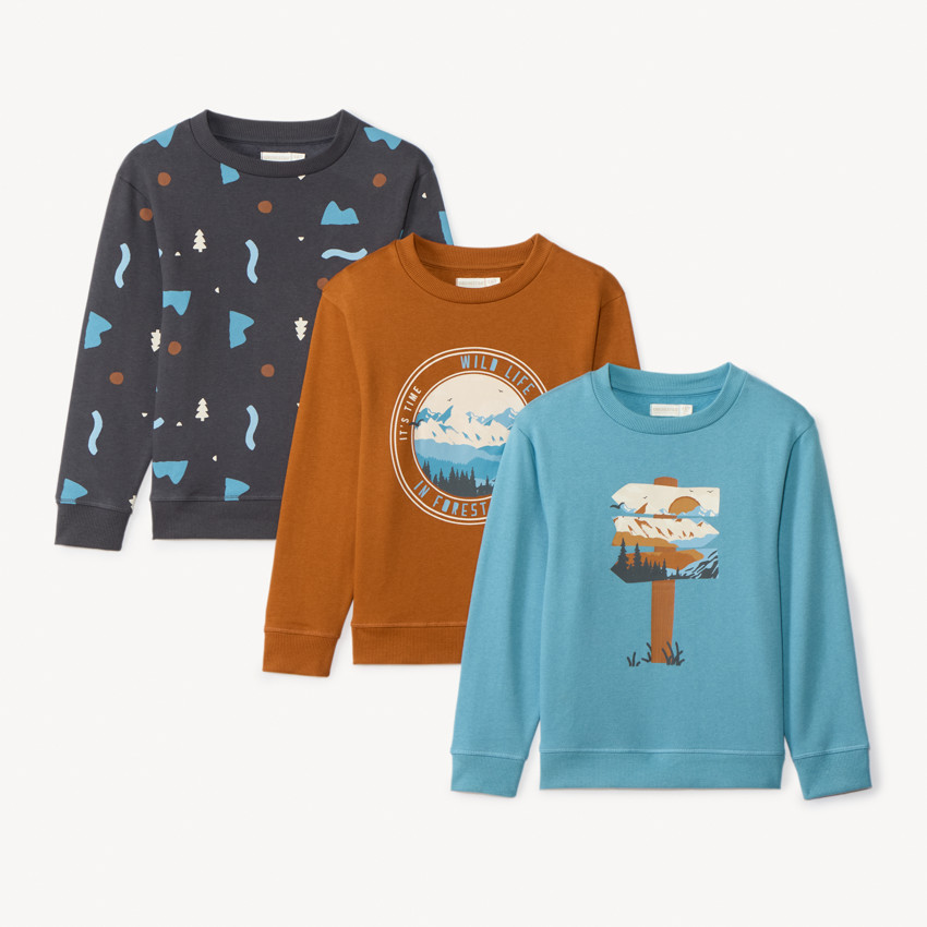 Lote de 3 sudaderas de felpa fantasía para niño 